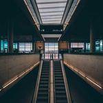 Dedric Reichert Profile Picture