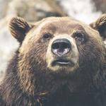 Jason Legros Profile Picture